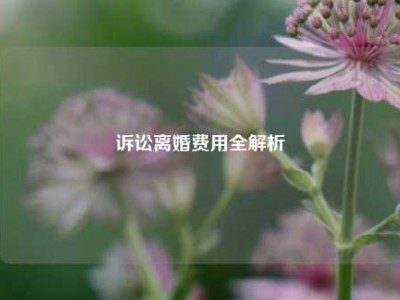 诉讼离婚费用全解析