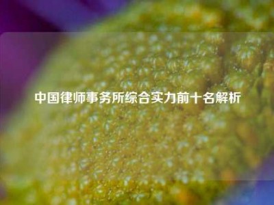中国律师事务所综合实力前十名解析