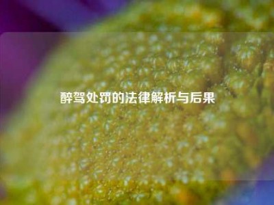 醉驾处罚的法律解析与后果