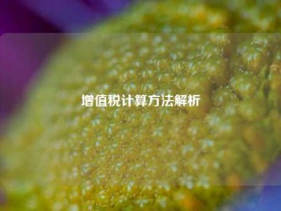 增值税计算方法解析