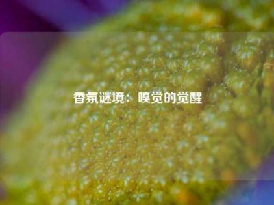 香氛谜境：嗅觉的觉醒