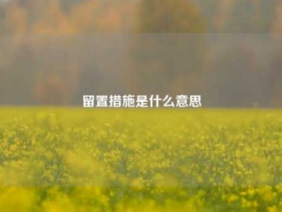 留置措施是什么意思