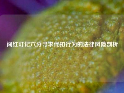 闯红灯记六分寻求代扣行为的法律风险剖析
