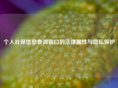 个人社保信息查询窗口的法律属性与隐私保护