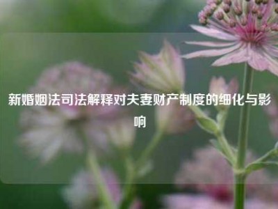 新婚姻法司法解释对夫妻财产制度的细化与影响