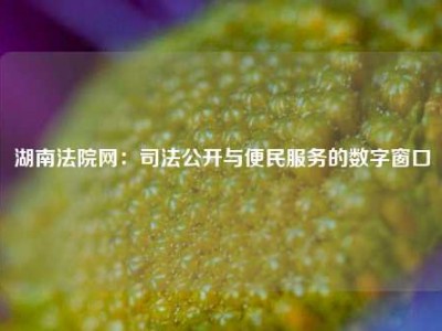 湖南法院网：司法公开与便民服务的数字窗口
