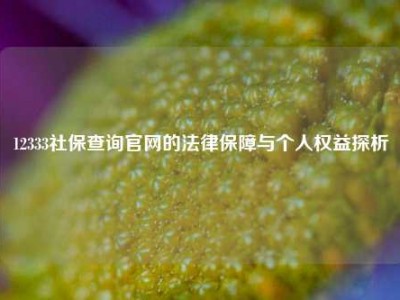 12333社保查询官网的法律保障与个人权益探析
