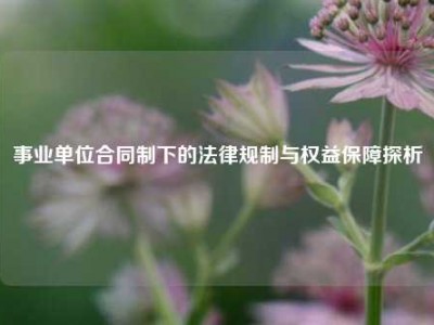事业单位合同制下的法律规制与权益保障探析