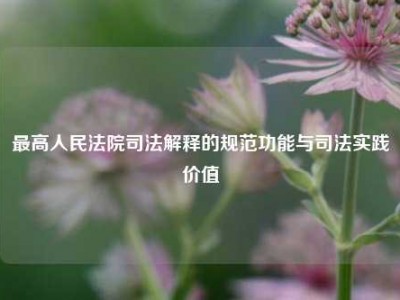 最高人民法院司法解释的规范功能与司法实践价值
