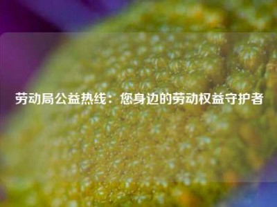 劳动局公益热线：您身边的劳动权益守护者