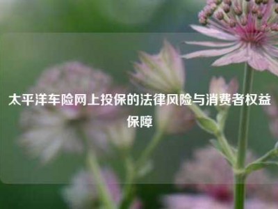 太平洋车险网上投保的法律风险与消费者权益保障