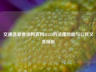交通违章查询网官网12123的法律功能与公民义务探析