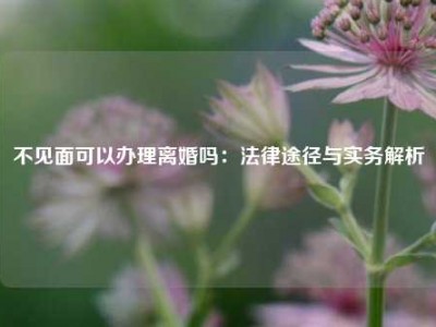 不见面可以办理离婚吗：法律途径与实务解析