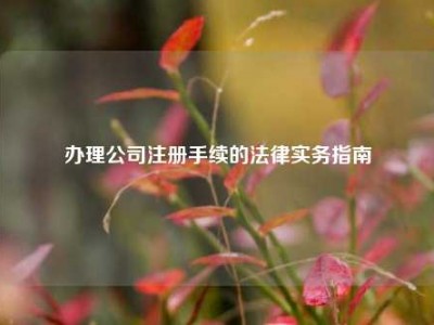 办理公司注册手续的法律实务指南