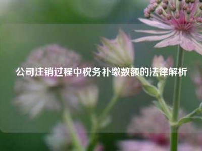 公司注销过程中税务补缴数额的法律解析