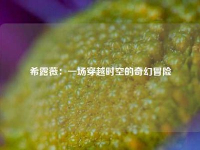 希露薇：一场穿越时空的奇幻冒险