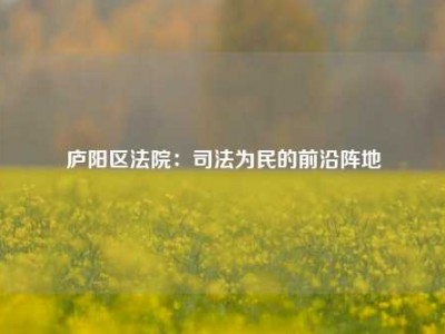 庐阳区法院：司法为民的前沿阵地