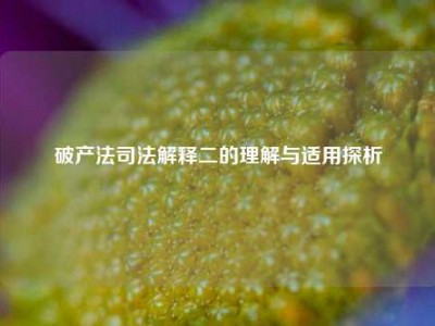 破产法司法解释二的理解与适用探析