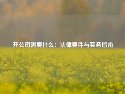 开公司需要什么：法律要件与实务指南