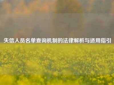失信人员名单查询机制的法律解析与适用指引