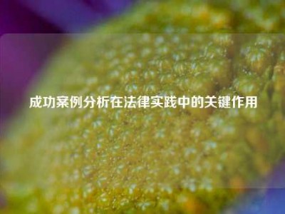 成功案例分析在法律实践中的关键作用
