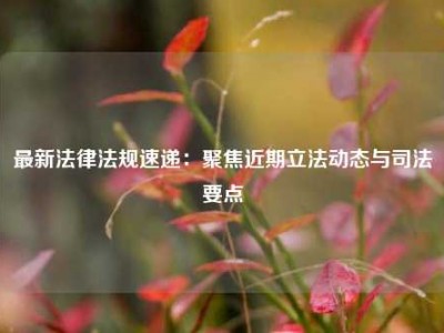 最新法律法规速递：聚焦近期立法动态与司法要点
