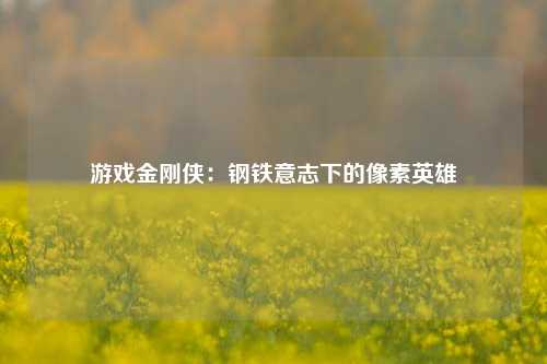 游戏金刚侠：钢铁意志下的像素英雄