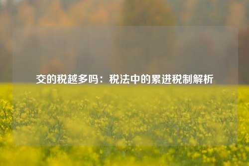 交的税越多吗：税法中的累进税制解析