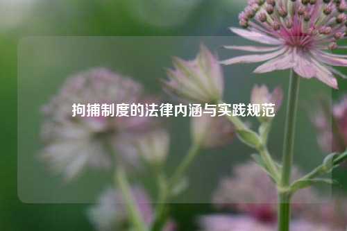 拘捕制度的法律内涵与实践规范