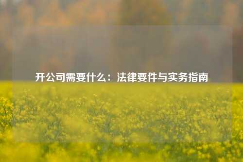 开公司需要什么：法律要件与实务指南