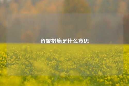 留置措施是什么意思
