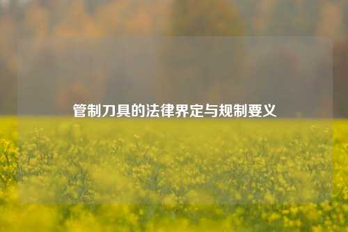 管制刀具的法律界定与规制要义