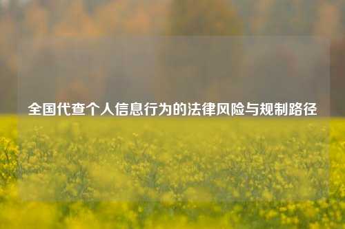 全国代查个人信息行为的法律风险与规制路径