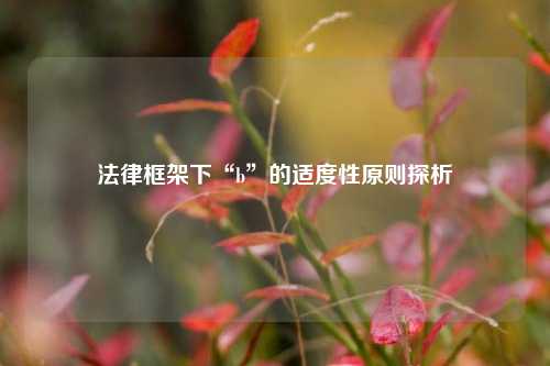 法律框架下“b”的适度性原则探析